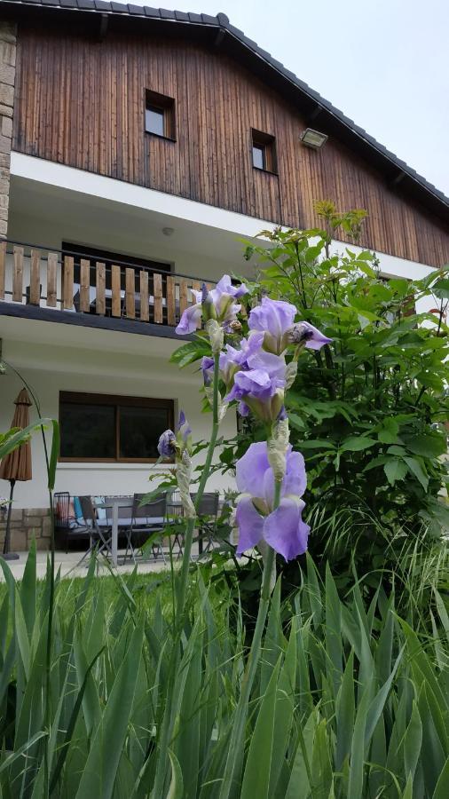 Le Jardin De Moulis, Saint Girons, Ariege, Pyrenees, Bed & Breakfast エクステリア 写真