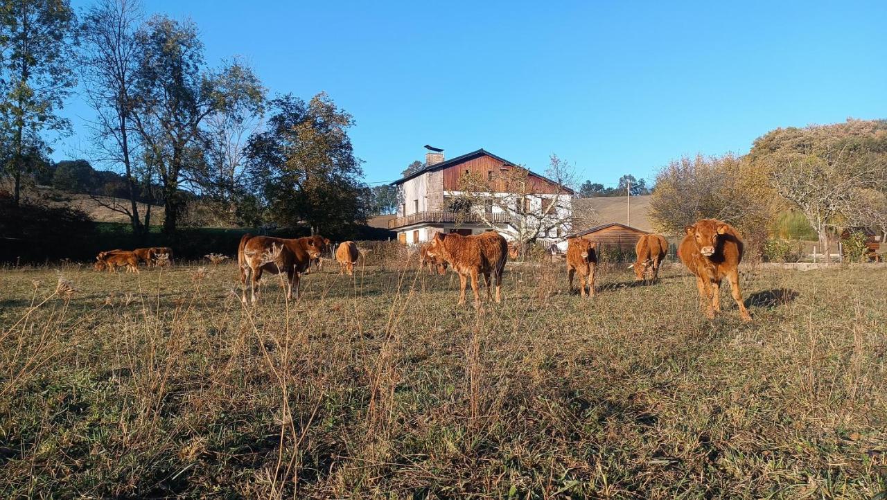 Le Jardin De Moulis, Saint Girons, Ariege, Pyrenees, Bed & Breakfast エクステリア 写真